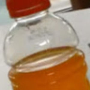 Meet your Posher, Noah